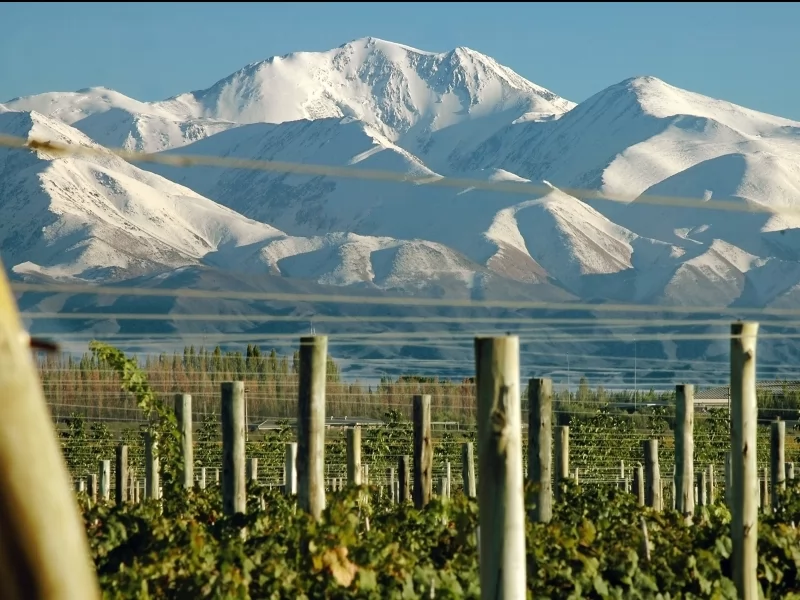 Mendoza,winery.