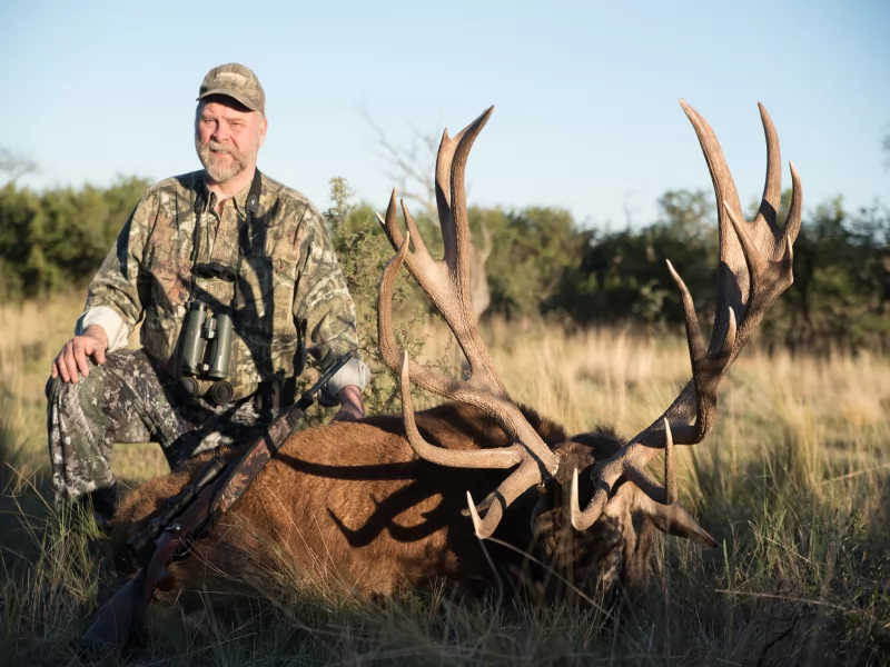 Deer Hunt San Luis