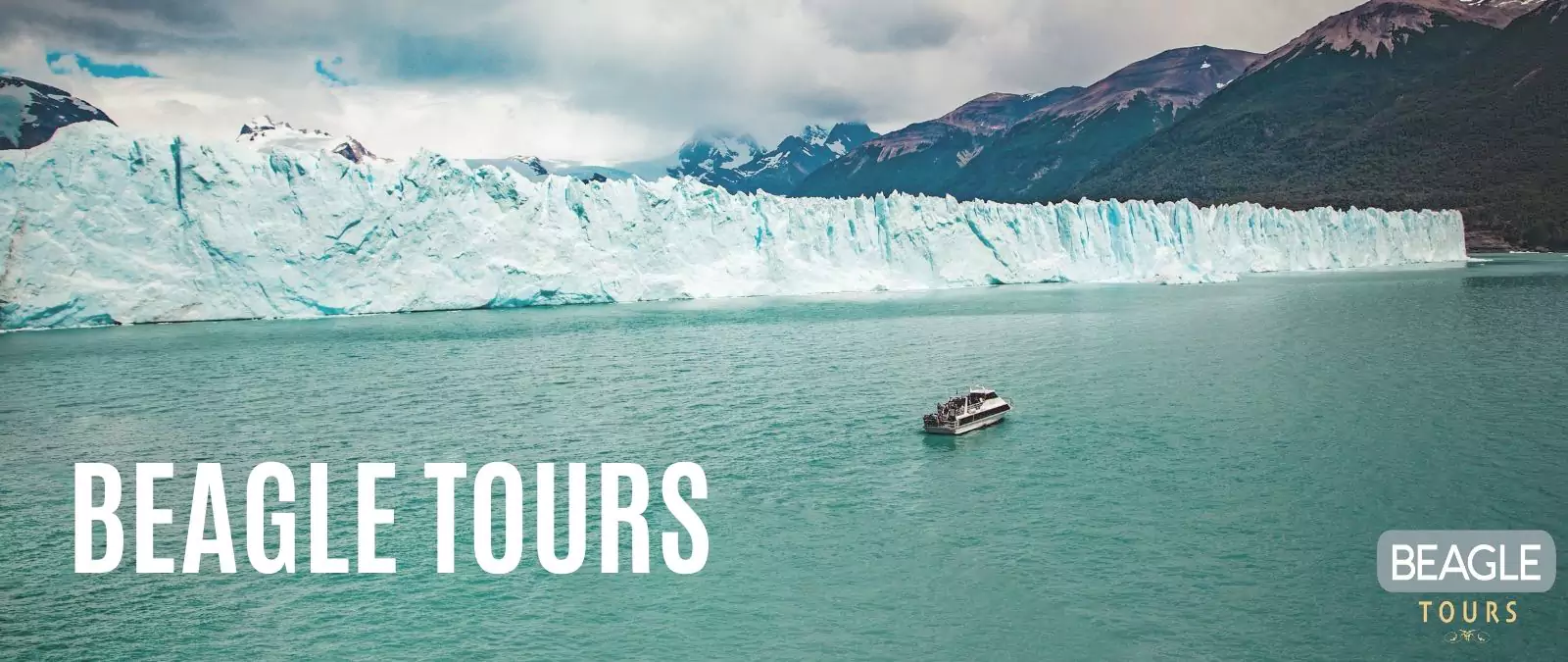 Beagle Tours