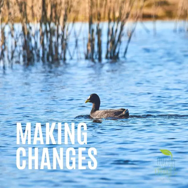 Making Changes